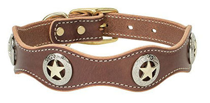 Picture of Weaver Pet Lone Star Legend Collar, Sunset, 1" X 25"