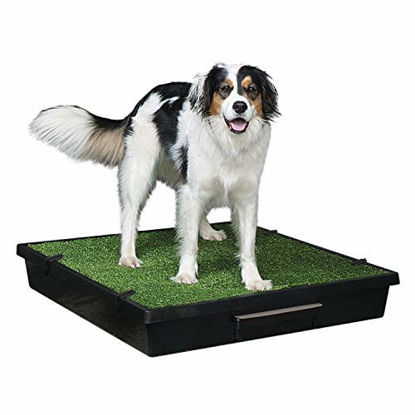 Picture of PetSafe Pet Loo Portable Dog Potty, Alternative to Puppy Pads, Large