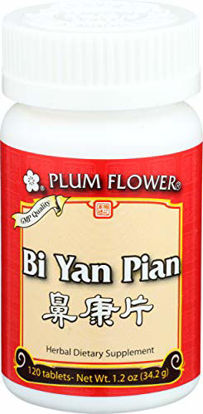 Picture of Plum Flower Chinese Tea, Bi Yan Pian, 120 Tablets