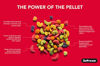 Picture of ZuPreem FruitBlend Flavor Pellets Bird Food for Small Birds - Powerful Pellets Made in USA, Naturally Flavored for Parakeets, Budgies, Parrotlets (2 lb Bag (2-Pack))