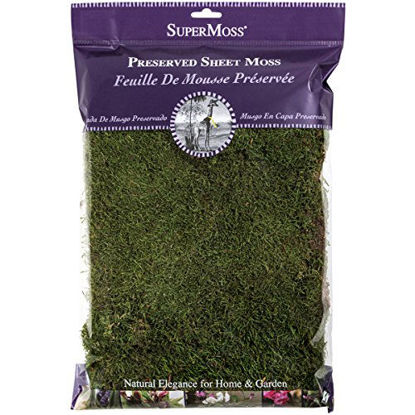 Picture of SuperMoss (21512) Preserved Sheet Moss, Fresh Green, 8oz (200 cubic inch)