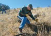 Picture of Bounty Hunter PL PROQD Multi-Purpose Detector, Black