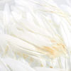 Picture of 100 Piece Goose Feathers, Natural Feathers for Crafts, DIY, Wedding, Bridal Shower, and Party Decorations