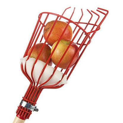 Picture of Home-X Fruit Picker Harvester Basket with Cushion to Prevent Bruising (Pole not Included)