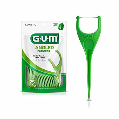 Picture of GUM Angled Flossers, Fresh Mint, 75 Count