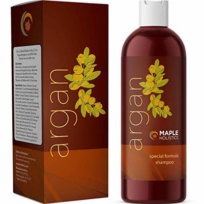 Picture of Argan Shampoo for Dry Damaged Hair - Moroccan Argan Oil Shampoo for Dry Hair Frizz Control and Dry Scalp Care - Moisturizing Shampoo for Curly Hair Care and Hair Moisturizer for Dry Hair Damaged