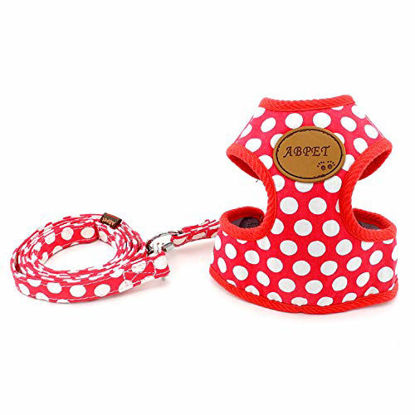 Picture of SMALLLEE_LUCKY_STORE CWYP00068-Red-S New Soft Mesh Nylon Vest Pet Cat Small Medium Dog Harness Dog Leash Set Leads ,Red , S