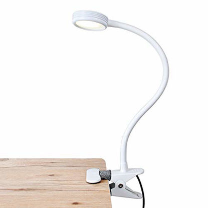 Picture of LEPOWER Metal Clip on Light/ Reading Light/ Light Color Changeable/ Night Light Clip on for Desk, Bed Headboard and Computers (White)