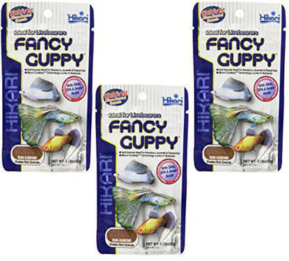 Picture of (3 Pack) Hikari Usa Tropical Fancy Guppy For Pet Health, 0.77-Ounce Each