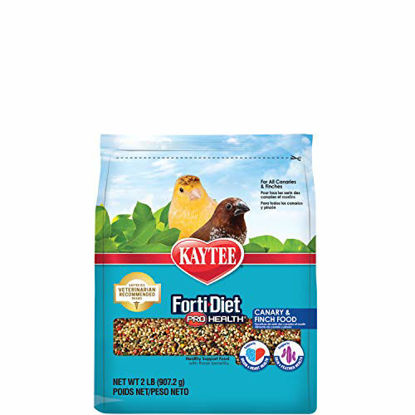 Picture of Kaytee Forti-Diet Pro Health Canary & Finch Food, 2 Lb