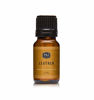 Picture of Leather Fragrance Oil - Premium Grade Scented Oil - 10ml