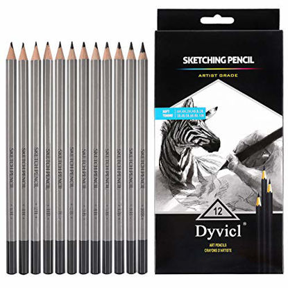 Picture of Dyvicl Professional Drawing Sketching Pencil Set - 12 Pieces Drawing Pencils 10B, 8B, 6B, 5B, 4B, 3B, 2B, B, HB, 2H, 4H, 6H Graphite Pencils for Beginners & Pro Artists