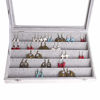 Picture of AUTOARK Ice Velvet Clear Lid 55 Pairs Earring Tray Showcase Display Organizer,AJ-024