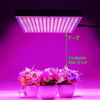 Picture of LED Grow Lights, Diboys 75W Growing Lamp Bulbs for Indoor Plants, Red Blue Full Spectrum Plant Light for Seedling, Gardening, Hydroponics, Greenhouse