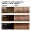 Picture of L'Oreal Paris Feria Multi-Faceted Shimmering Permanent Hair Color, B61 Downtown Brown (Hi-Lift Cool Brown), Pack of 1, Hair Dye