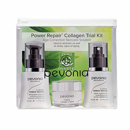 Picture of Pevonia Skincare Solution, Power Repair Kit
