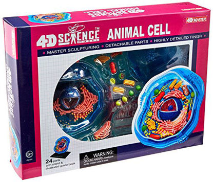 Picture of Famemaster 4D-Science Animal Cell Anatomy Model