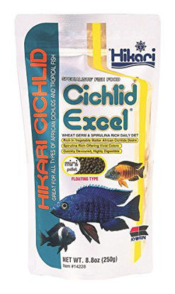 Picture of Hikari 8.8-Ounce Cichlid Excel Floating Pellets for Pets, Mini