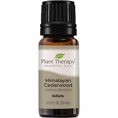 Picture of Plant Therapy Himalayan Cedarwood Essential Oil 10 mL (1/3 oz) 100% Pure, Undiluted, Therapeutic Grade