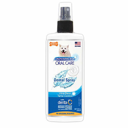 Picture of Nylabone Advanced Oral Care 4 oz Dog Dental Spray, Package may vary