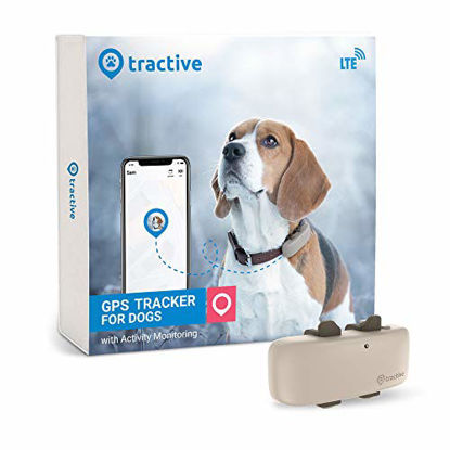 Picture of Tractive LTE GPS Dog Tracker - Location & Activity Tracker for Dogs with Unlimited Range (Newest Model)