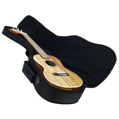 Picture of Hola! Music Heavy Duty CONCERT Ukulele Gig Bag (up to 24 Inch) with 15mm Padding, Black