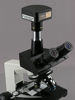 Picture of 720p Wi-Fi Microscope Digital Camera + Software