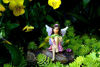 Picture of PRETMANNS Fairy Garden Fairies Accessories - 3 Fairies for a Fairy Garden - Outdoor Garden Fairy Supplies 3 Pieces