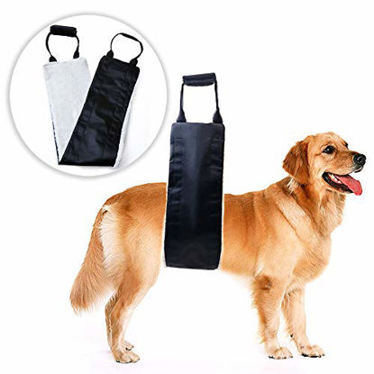 Picture of Dog Lift Support and Rehab Harness for Weak Rear Legs, Soft Sling Assist The Dog Who are Senior, Injured, Disabled and After ACL Surgery (Black)