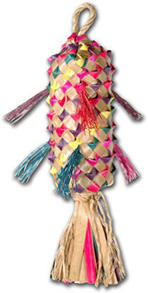 Picture of Planet Pleasures Spiked Pinata Natural Bird Toy, Medium/11