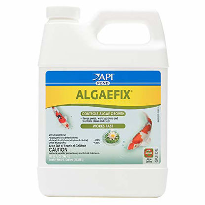 Picture of API POND ALGAEFIX Algae Control 32-Ounce Bottle, FISHAQUARI (169G)