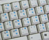 Picture of Hindi Keyboard Stickers with Blue Lettering ON Transparent Background