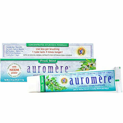 Picture of Auromere Ayurvedic Herbal Toothpaste, Fresh Mint - Vegan, Natural, Non GMO, Flouride Free, Gluten Free, with Neem & Peelu (4.16 oz), 1 Pack