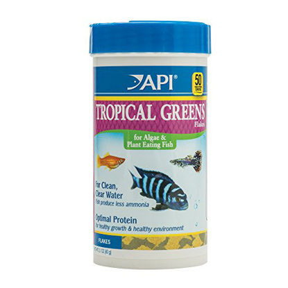 Picture of API TROPICAL GREENS FLAKES Tropical Fish Greens Flakes Fish Food 2.1-Ounce Container