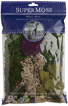 Picture of SuperMoss (23310) Moss Mix Preserved, 2oz (110 Cubic Inch)