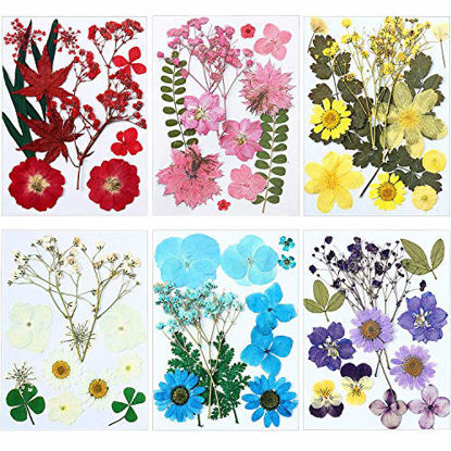 Picture of 72 Pieces Real Dried Pressed Flowers Dried Flowers Leaves Set Mixed Multiple Dry Flower for DIY Candle Resin Jewelry Nail Pendant Crafts Art Floral Decoration