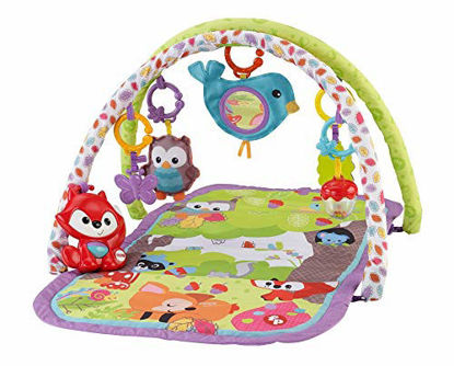 Picture of Fisher-Price 3-in-1 Musical Activity Gym, Woodland