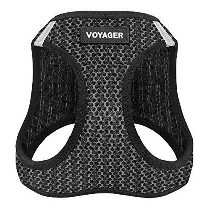Picture of Voyager Step-in Air Dog Harness - All Weather Mesh, Step in Vest Harness for Small and Medium Dogs by Best Pet Supplies