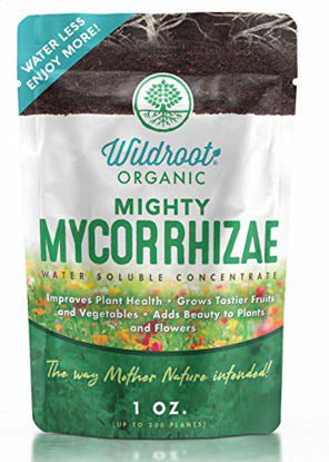 Picture of New Look Same Wildroot Organic Mycorrhizae Inoculant Concentrate (16 Species) Explosive Growth and Amazing Yield -The Way Mother Nature Intended! (Powder, 1 oz.)
