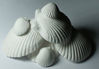 Picture of (2 Packages) Weco Wonder Shell Natural Minerals (3 Pack), Small - Total of 6 Shells