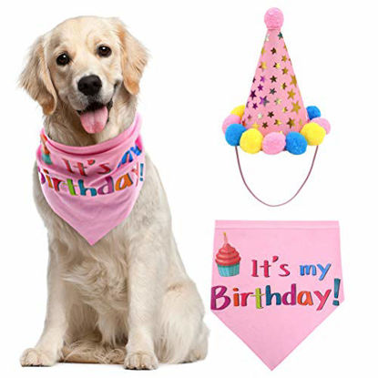 Picture of Dog Birthday Bandana Scarfs with Cute Doggie Birthday Party Hat