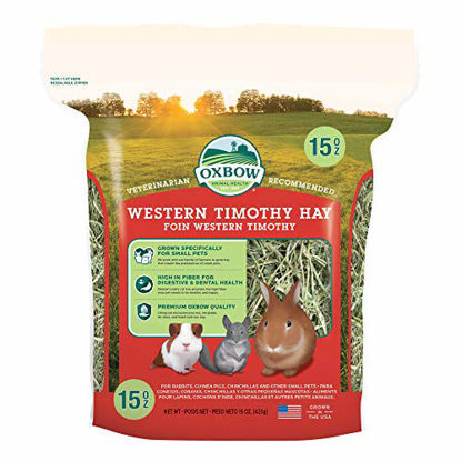 Picture of Oxbow Animal Health Western Timothy Hay - All Natural Hay for Rabbits, Guinea Pigs, Chinchillas, Hamsters & Gerbils - 15 oz.