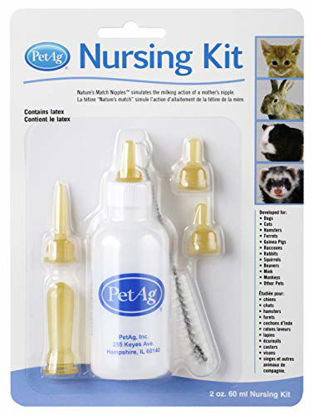 Picture of Pet-Ag Nursing Kit 2oz Bottle (Carded)
