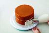 Picture of Wilton Carded Tip Cake Icer