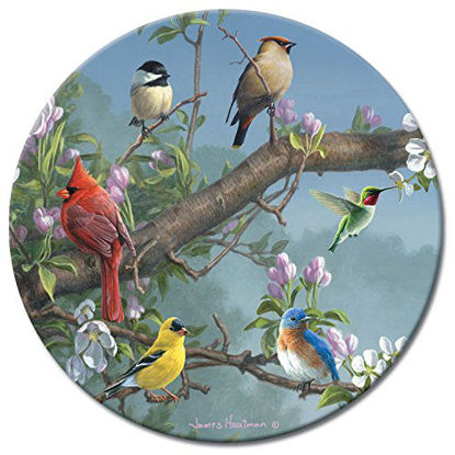 Picture of CounterArtGlass Lazy Susan Beautiful Songbirds Turntable 13 Inch Diameter