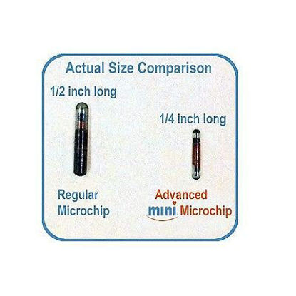 Picture of Dog Supplies Pro-ID Microchip Pet Microchip Mini CHIP 134KHZ, ISO