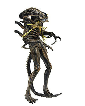 Picture of NECA - Aliens 7" scale action figure - Series 12 Xenomorph Warrior Brown (Battle Damaged)