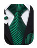 Picture of Barry.Wang Emerald Green Silk Tie Set Tartan Ties for Men