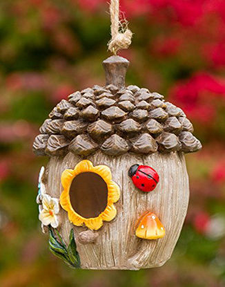 Picture of Dawhud Direct Acorn Cottage Decorative Hand-Painted Bird House