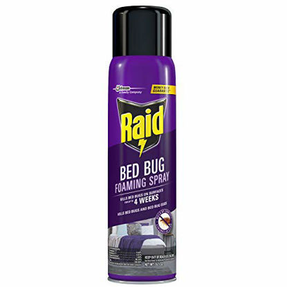 Picture of Raid Bed Bug Foaming Spray, For Indoor Use, Non-Staining, 16.5 Oz, Pack of 1